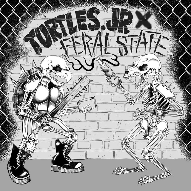 Turtles.Jr Split cover art