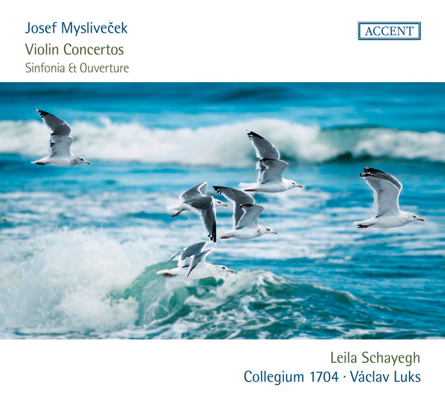 Violin Concerto in D Major: II. Larghetto cover art