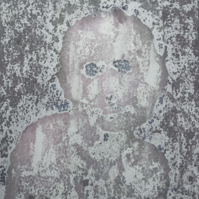Shadow cover art