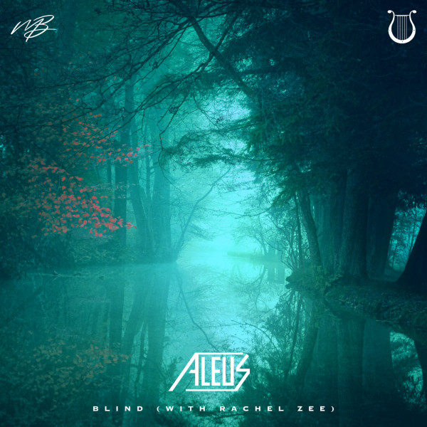 Blind cover art