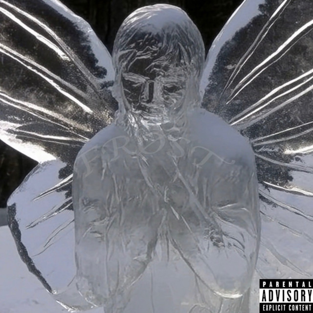 frøst cover art