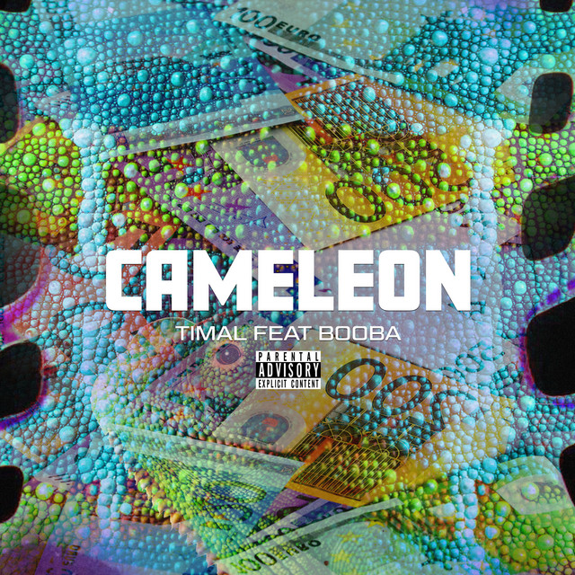 Pochette de Caméléon de 2022