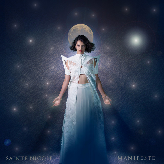 Pochette du titre La nuit se meurt