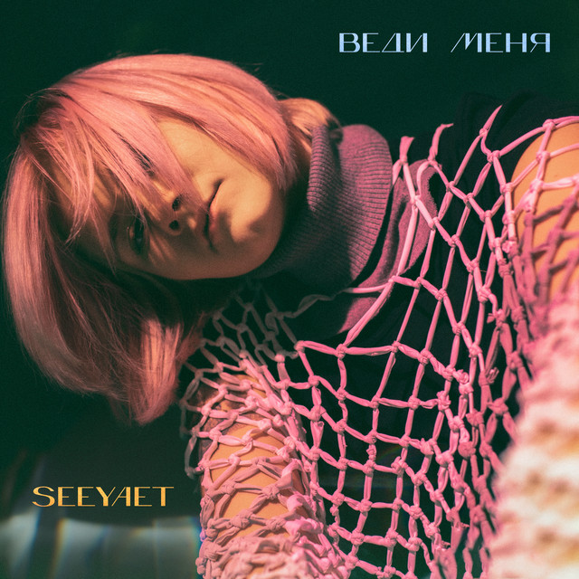 Веди меня cover