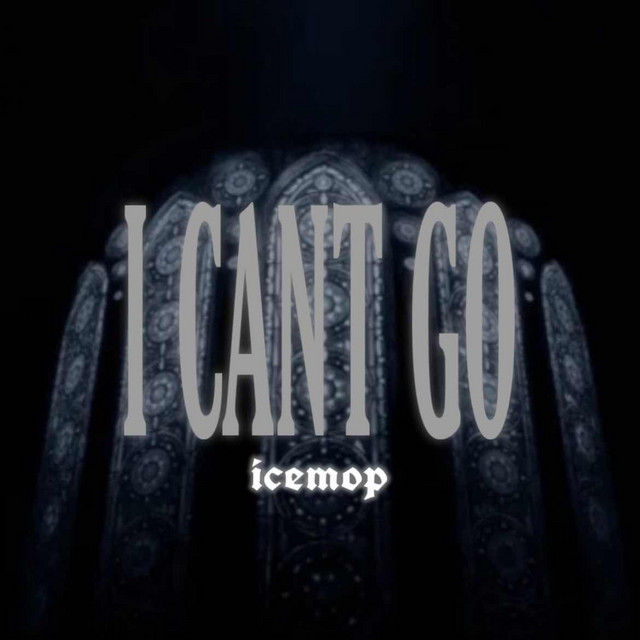 I CANT GO cover art