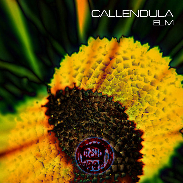 Elm cover art