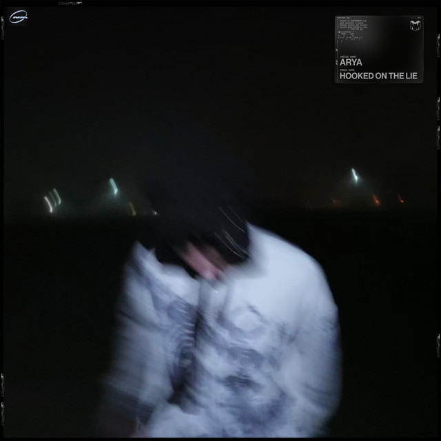Hooked on the Lie album art