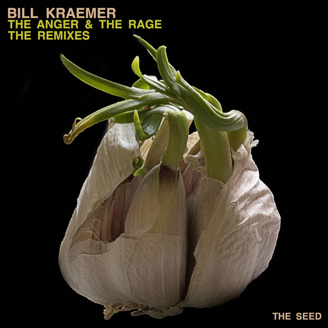 The Anger & The Rage The Remixes cover art