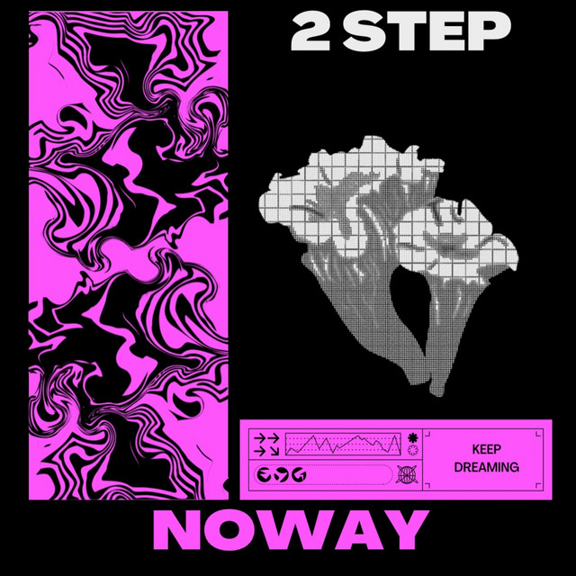 2 step cover art
