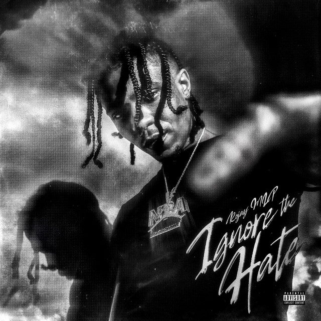 Ignore The Hate cover art