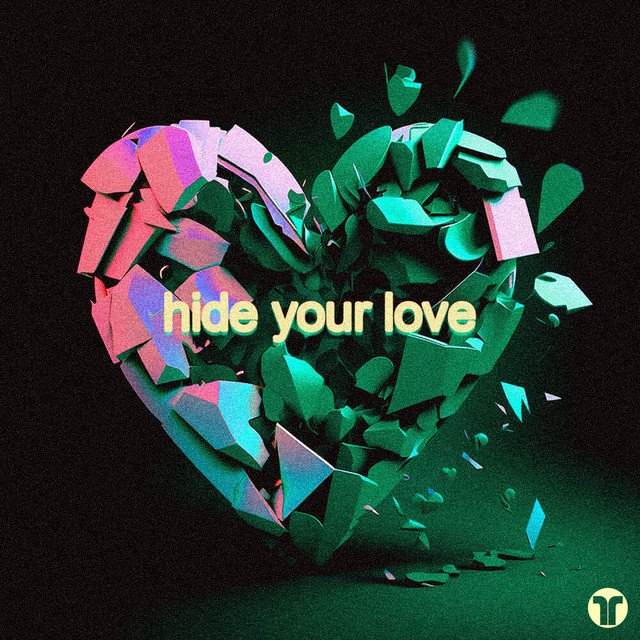 Hide Your Love - Extended Mix album art