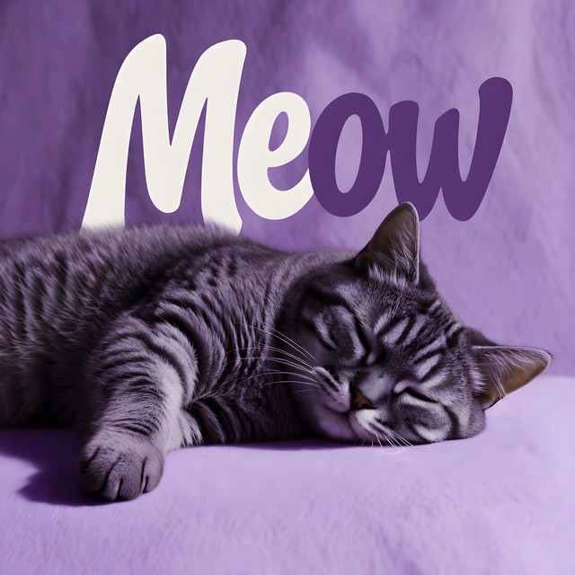 Meow cover art