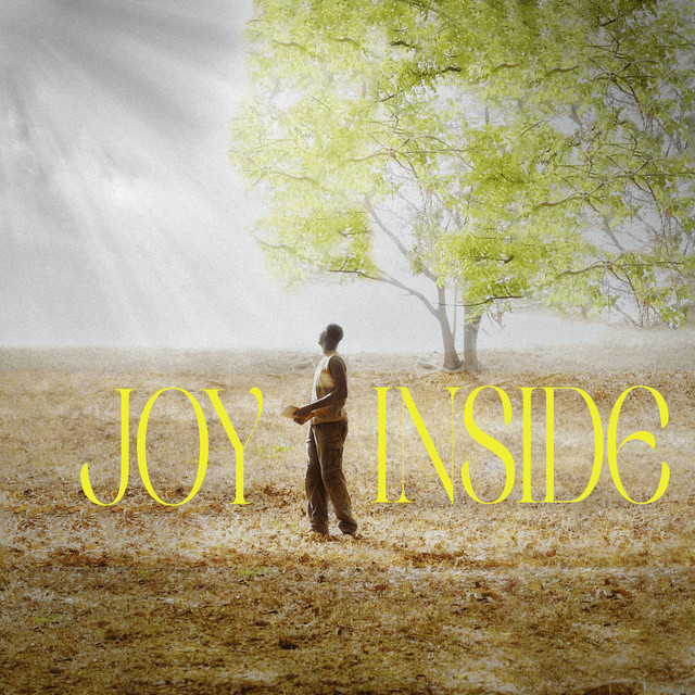 Joy Inside cover art
