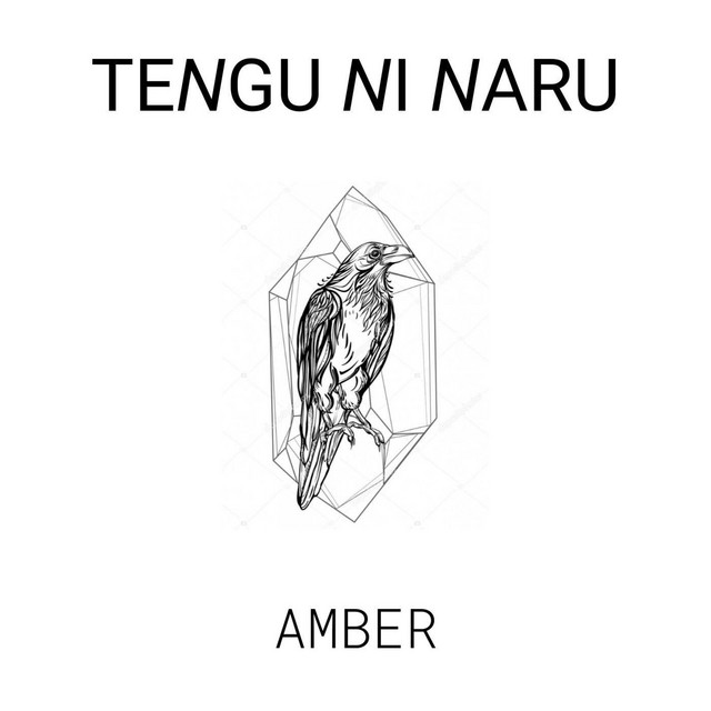 Amber cover art