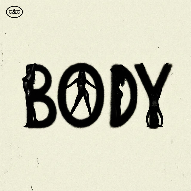 Body cover