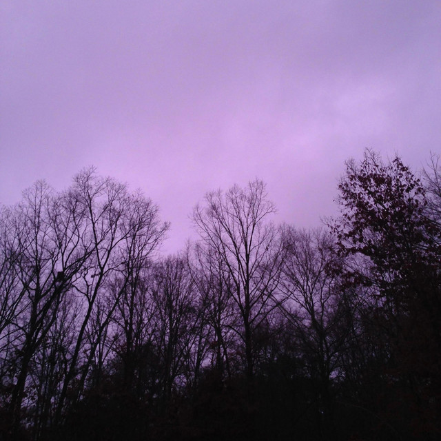 speaking silence. cover art