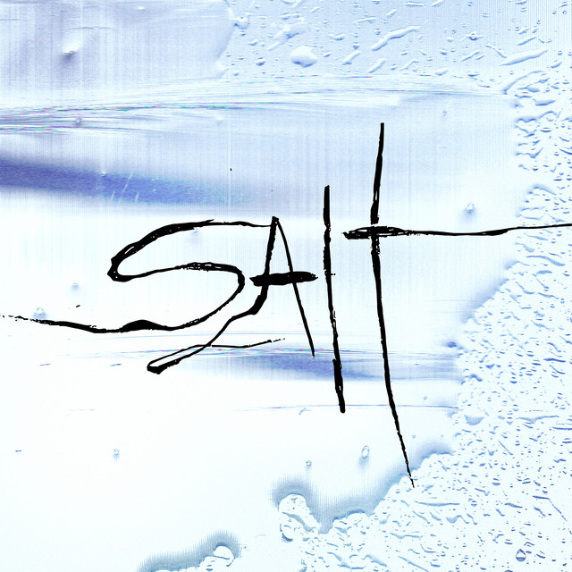 Salt cover art