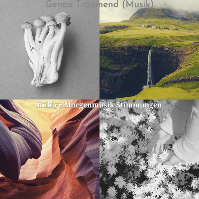 Genau Träumend (Musik) cover art