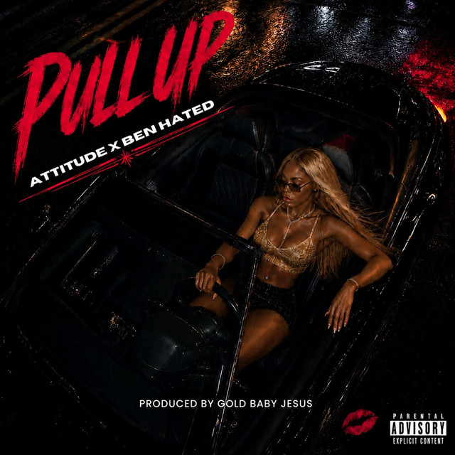 Pull Up cover