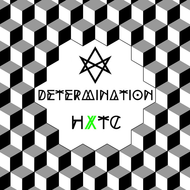 Determination cover art