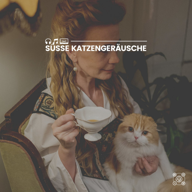 Süße Katzengeräusche cover art