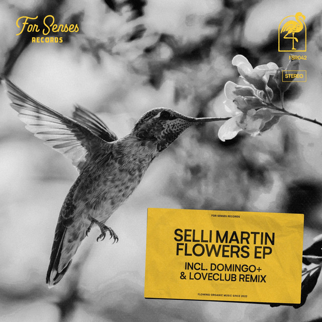 Flying Over the Sky album art