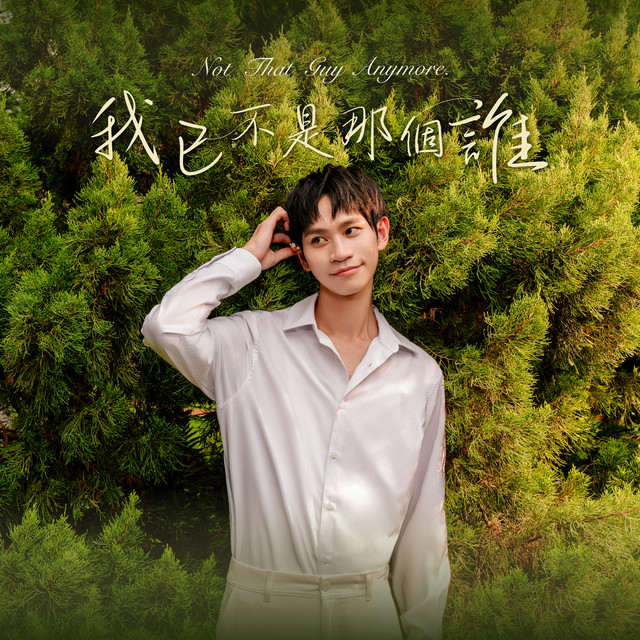 我已不是那個誰 cover art
