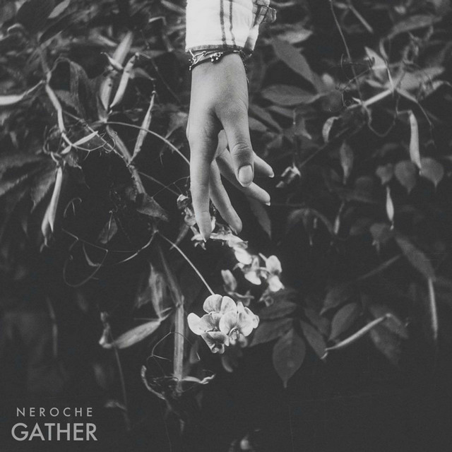 Gather cover art