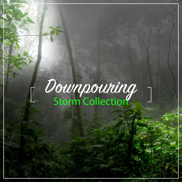 #16 Downpouring Storm Collection cover art