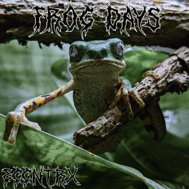 Frog Days cover art