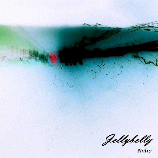 #Intro cover art