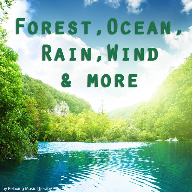 Asian Spa Sounds - song and lyrics by Relaxing Music Therapy | Spotify