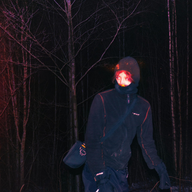 Vinterkrig cover art