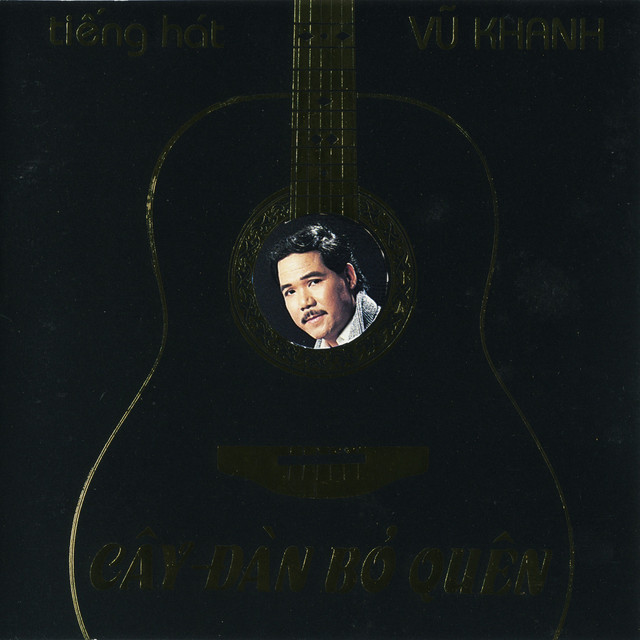 Cây Đàn Bỏ Quên cover
