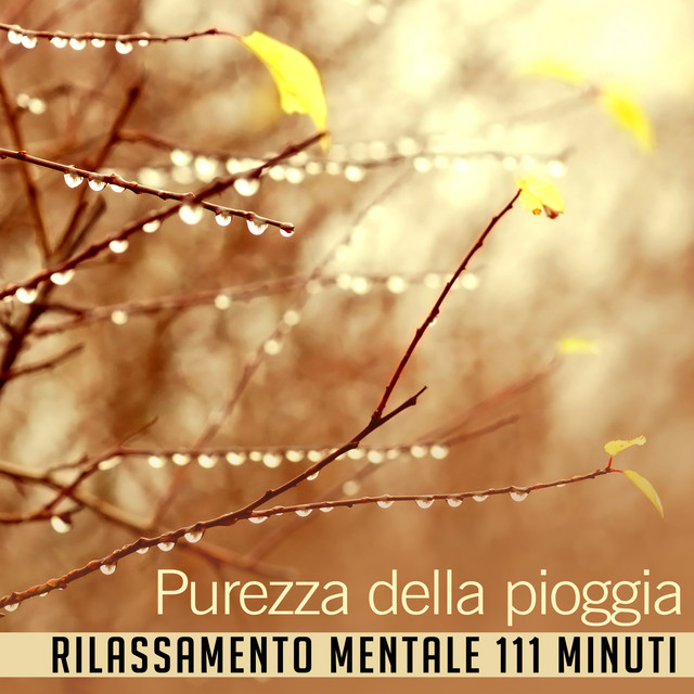 Purezza della pioggia (Rilassamento mentale 111 minuti - Suoni della natura, Acqua di guarigione, Zen musica) cover art