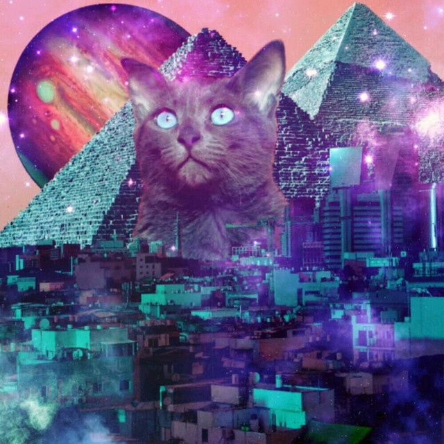 הכניסה אסורה cover art