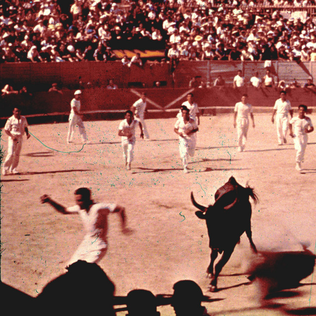 The Olympics album image
