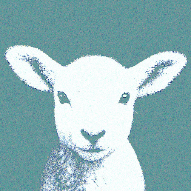Let the Lamb