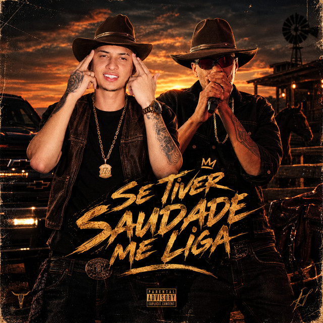 SE TIVER SAUDADE ME LIGA
