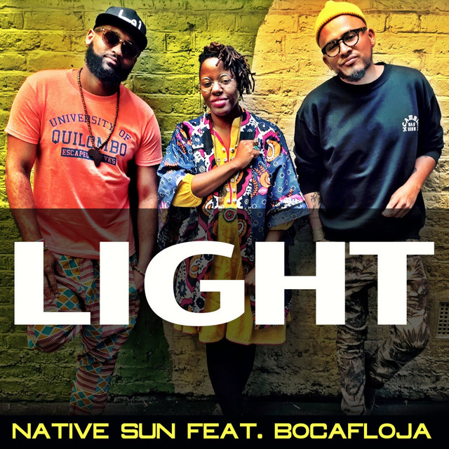 Light cover art