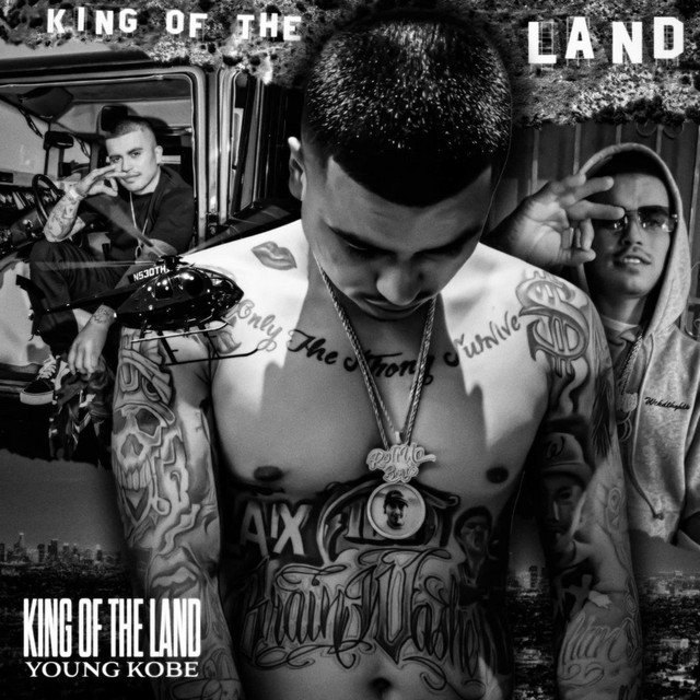 King Of The LAnd cover art