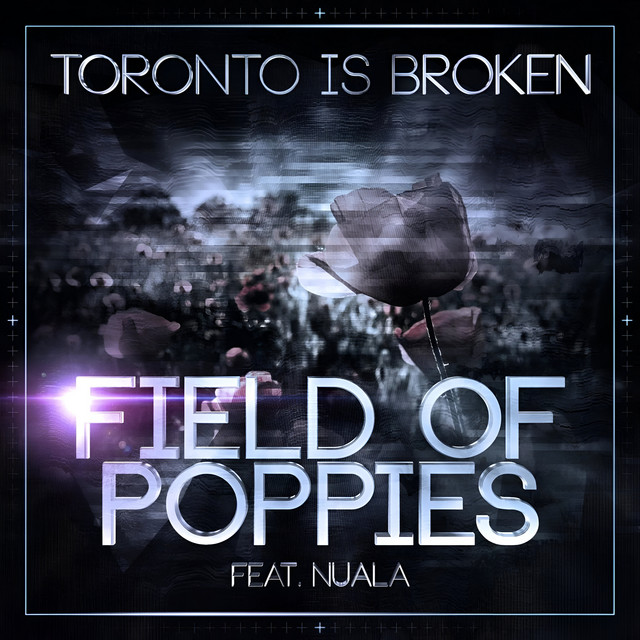Field Of Poppies artwork