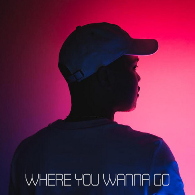 Where You Wanna Go cover art