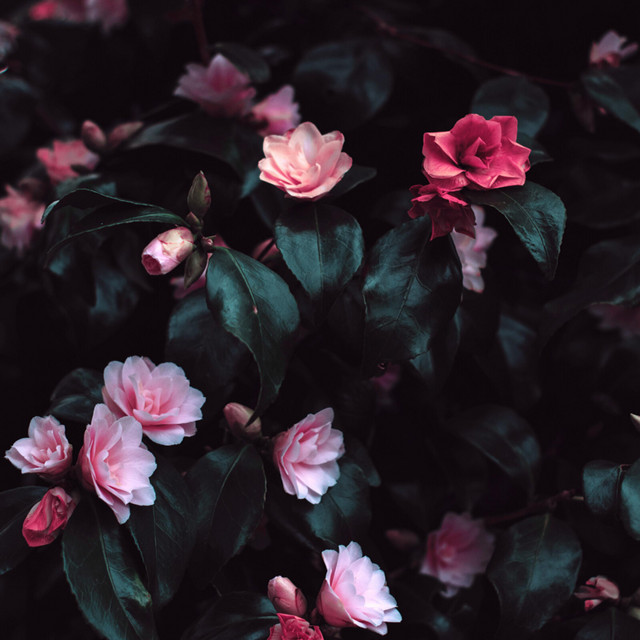 Once in a While cover art