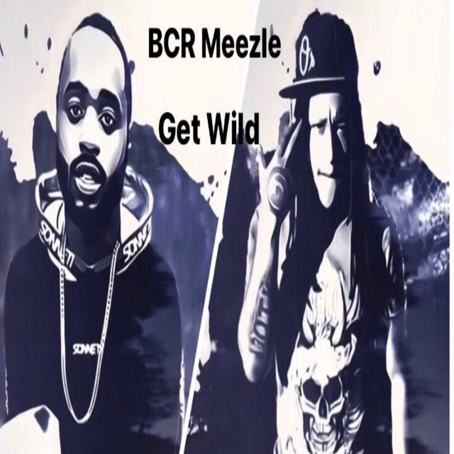 Get Wild Song And Lyrics By r Meezle Mackbaybii Spotify