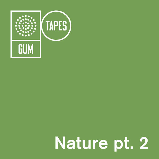 Family Tree - song and lyrics by Gum Tapes | Spotify