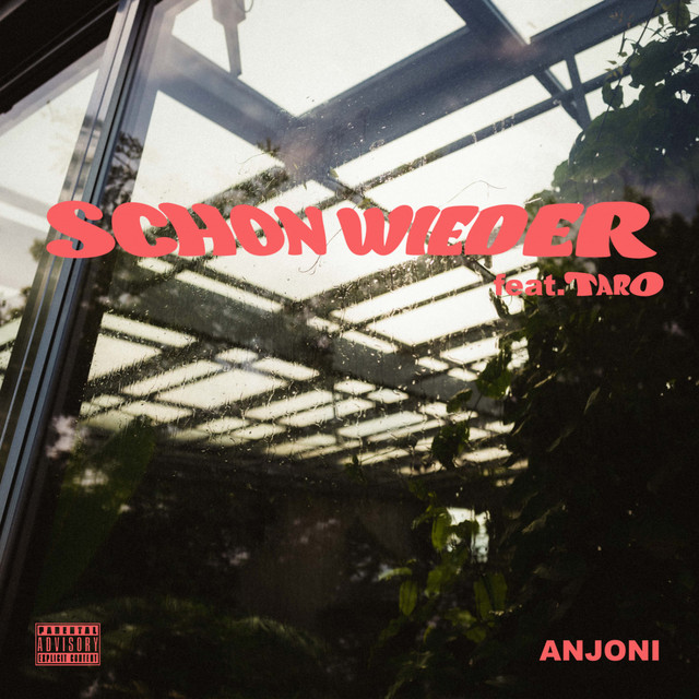 Schon wieder cover