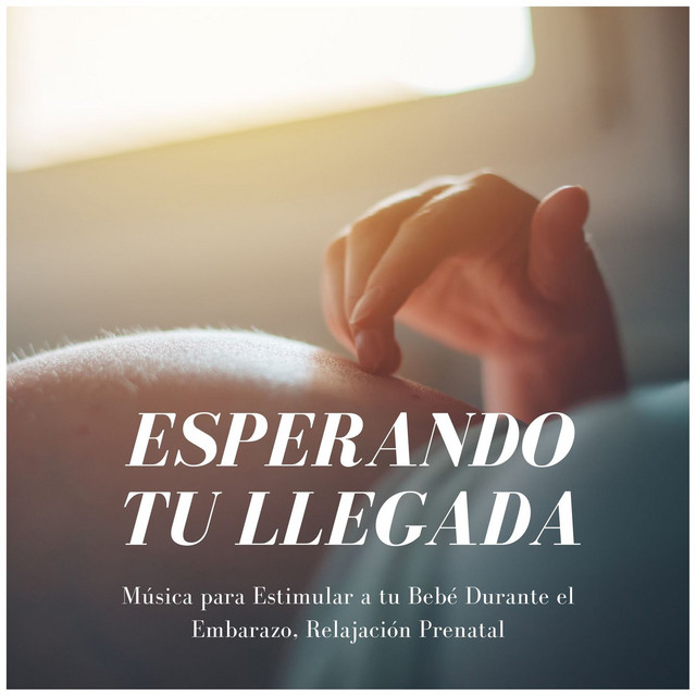 Esperando tu Llegada: Música para Estimular a tu Bebé Durante el Embarazo, Relajación Prenatal cover art