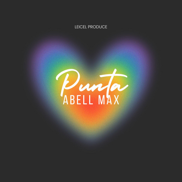 Punta cover art