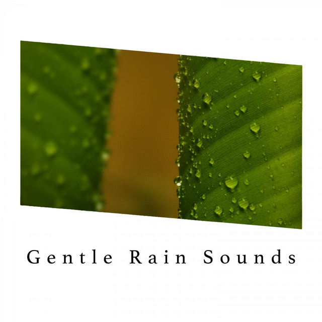 Gentle Rain Sounds cover art